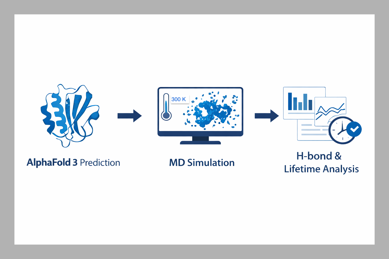 Computational workflow: AlphaFold 3 → Docking → MD Simulation → Analysis